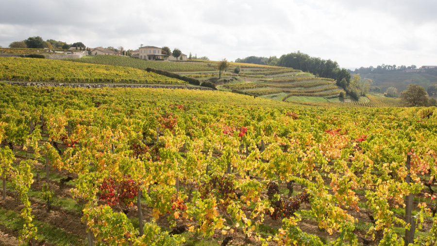 Bordeaux main image 0